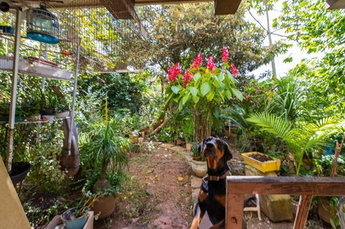 Imagem 7 de 15 de Casa À Venda No Bairro Morumbi - São Paulo/sp - O-19033-31779