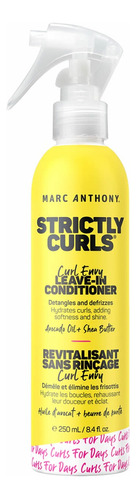 Strictly Curls Curl Envy Detangle & Defrizz Leave-in Acond