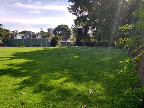 Imagem 4 de 14 de Terreno - Lri1135 - 32804973
