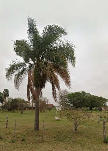 Campo De 30 Hectáreas + Casa + Galpones En Goya, Corrientes