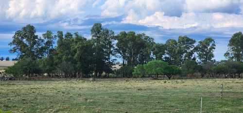 Imagen 2 de 30 de Excelente Campo Con Muy Buenas Mejoras .