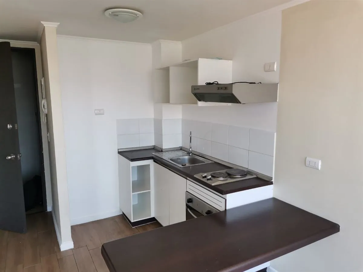 Imagen 3 de 9 de Departamento De 1 Dorm En Arriendo En Independencia