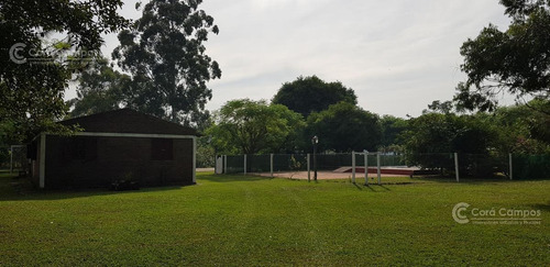 Imagen 2 de 14 de Se Vende Campo Foresto-ganadero De 1123 Ha En Paraje Galarza. Iberá. Corrientes