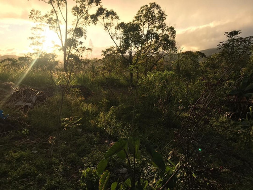 Imagen 2 de 14 de Terreno En Colinas De Carrizal