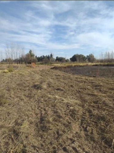 Finca 1,6 Hectáreas En Bowen Mendoza
