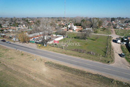 Imagen 7 de 11 de Terreno En Venta O Permuta Colectora Acceso Oeste - General Rodríguez
