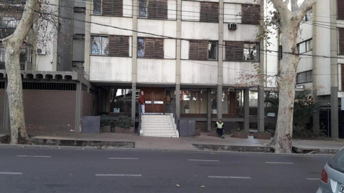 Imagen 5 de 15 de Amplio Deparamento Muy Buena Ubicacion