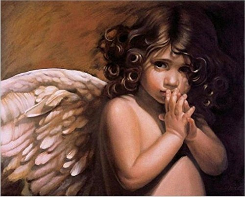 Fairy Angel-diy Pintura Diy Pintura Al Oleo 16x20 Pulgadas P