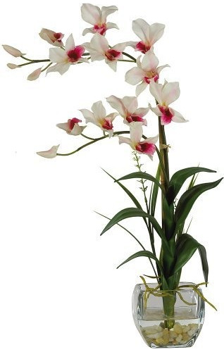 1135wh Dendrobium Con Florero De Vidrio, Arreglo De Sed...