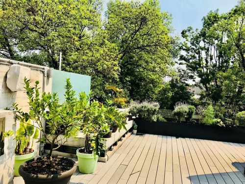 Imagen 11 de 12 de Aristoteles 8 Polanco, Hermoso Roof Garden En Venta