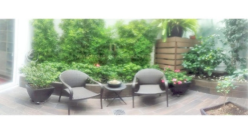 Imagen 6 de 15 de Polanco Garden House Con 4 Jardines Interiores, Gym, Piscina, Amplio Roof Garden, Guardias24h