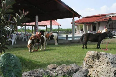 Rancho en venta