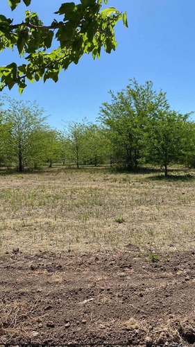 Imagen 3 de 14 de Dueño Vende Hermoso Lote En Villa Elisa, La Plata Calle 409