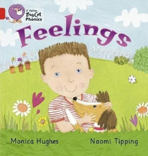 Feelings - Big Cat 2b / Red B - Phonics 