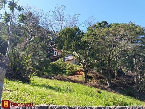 Imagem 1 de 15 de Casa Residencial - Sambaqui - Ref: 32270 - V-c6-32270