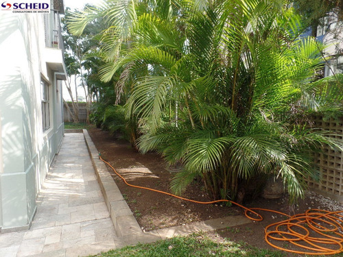 Imagem 6 de 15 de Ótimo Apto - Vila Mascote - Mc3362