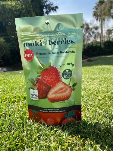 Botana Saludable De Fresa Crujiente 100% Natural - 10 Piezas