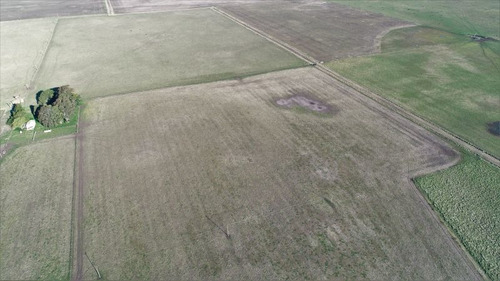 Imagen 15 de 28 de Campo 39 Has. Agrícolas Con Mejoras - Zona Dos Naciones
