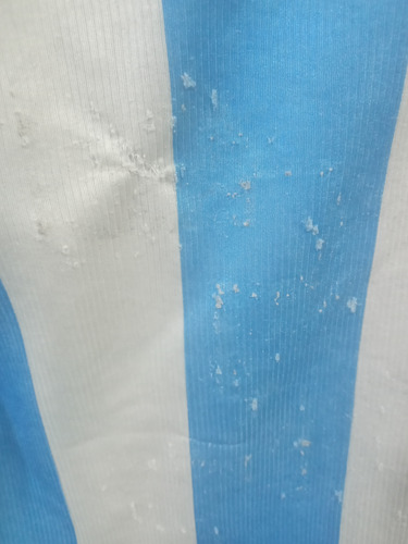 Camiseta De Futbol Seleccion Argentina 1998 Ver (Usado)