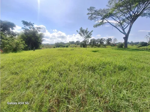 Venta Lotes En Quimbaya -quindío Colombia Cod: 7555717