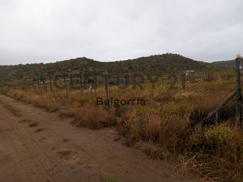 Imagen 4 de 8 de Terreno En Venta - El Carrizal - Mendoza Id:43447