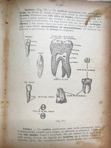 Anatomia E Physiologia Humanas Reynaldo Ribeiro Da Silva