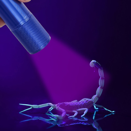 Linterna Uv Con Mini Detector De Linterna Ultravioleta Led
