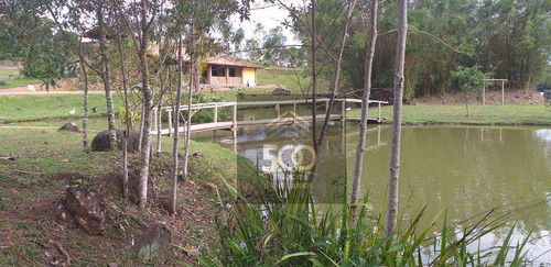 Imagem 8 de 21 de Terreno À Venda, 1000 M² Por R$ 155.000,00 - Varginha - Santo Amaro Da Imperatriz/sc - Te0161