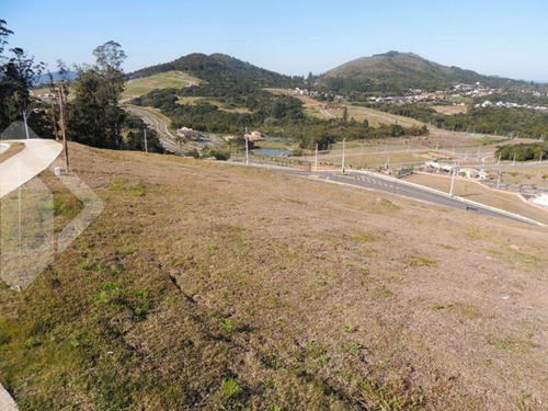 Imagem 7 de 15 de Terreno - Vila Nova - Ref: 203678 - V-203678
