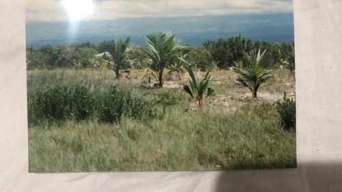 Solares En Perdernales