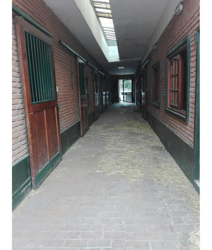 Imagen 9 de 21 de Lote Para Prendimiento O Stud