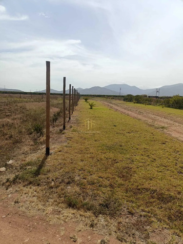 Parcela 6000 M2 Cercana A Ruta 43, Coquimbo (175018)