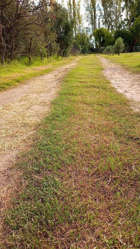 Imagen 8 de 18 de Venta - Finca - Las Paredes, San Rafael