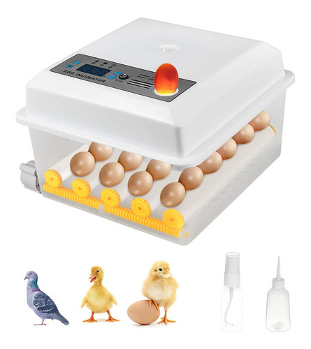 Incubadora De Huevos Automática 16 Huevos Pollos Y Aves | Meses sin  intereses