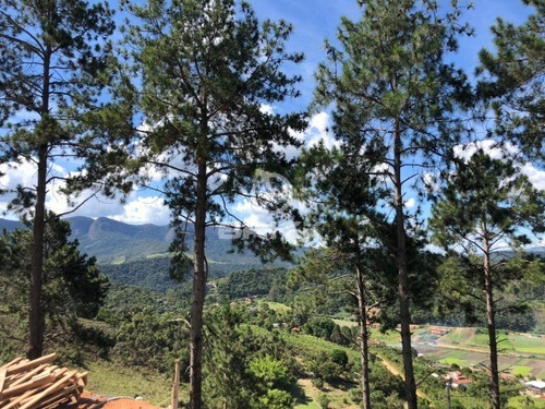Imagem 4 de 10 de Terreno Com 600 M² Na Fazenda Suiça. - Te00375 - 69026830