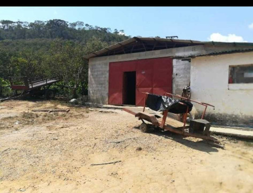 Imagen 4 de 8 de Finca De 10 Hectáreas En Miranda