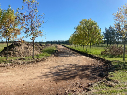 Imagen 4 de 17 de Lote En Barrio Cerrado - Spegazzini Ezeiza
