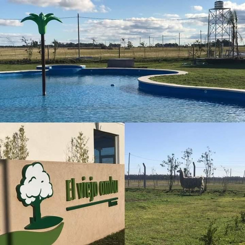 Imagen 1 de 7 de Terreno - San Vicente