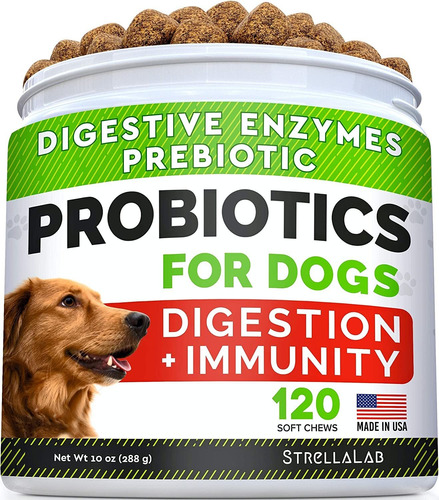 Vitaminas Probióticas Para Perros Para Comedores Exigentes