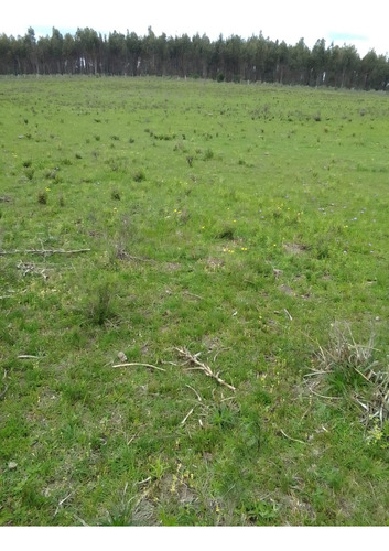 Campo Agrícola Ganadero En Canelones
