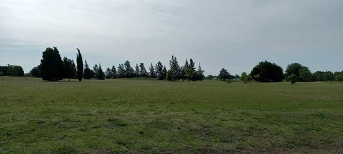Imagen 7 de 8 de Venta-terreno - Medal Country Club-pilar
