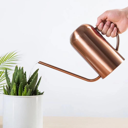 Regadera Para Plantas De Interior, 50 Oz/1500 Ml, Metal Inox
