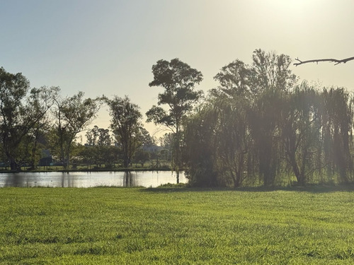 Terreno Lote En Venta En Casuarinas Del Pilar, Zelaya, Pilar