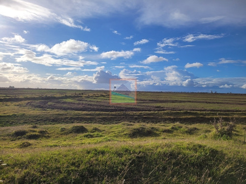 Imagen 23 de 30 de 532 Hectáreas Agrícolas Ganaderas Rocha