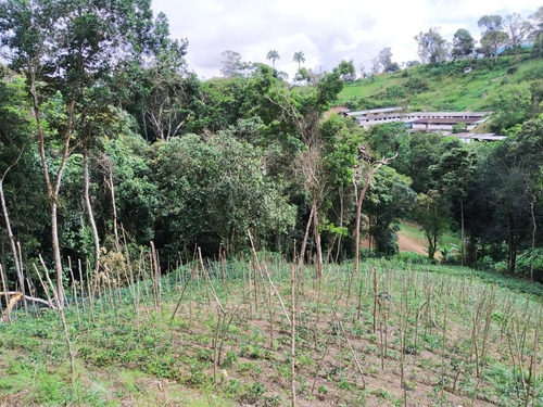 Imagen 6 de 7 de Vendo Lote De Terreno De 45.000 M2, Uso Residencial, Recreacional O Agrícola, Ref. 300.000 - Carrizal Edo. Miranda