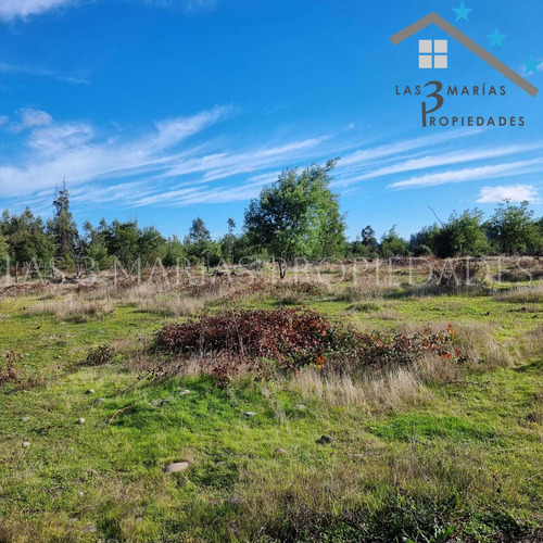 Hermosas Parcelas De 5000 M2 Aprox (96853)