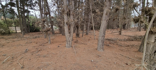 Imagen 7 de 9 de Los Pinos Reñaca, Con Agua