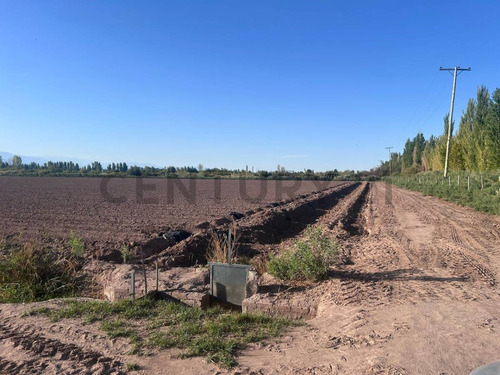 Finca En Venta , Century 21 Rodriguez N