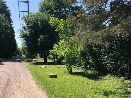 Imagen 2 de 7 de Hermoso Lote En Venta En Barrio Parque Leloir, Ituzaingó