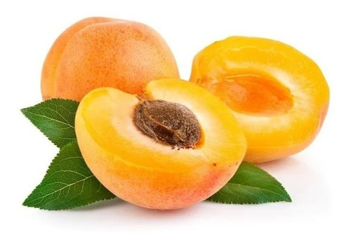 1 Arbolito De Chabacano / Apricot / Albaricoque Real Sembrar